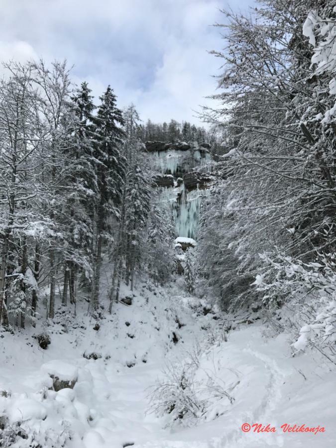 Villa Mountain View Glamping Dovje Exterior foto